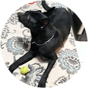 idelmy de gonzalez profile picture